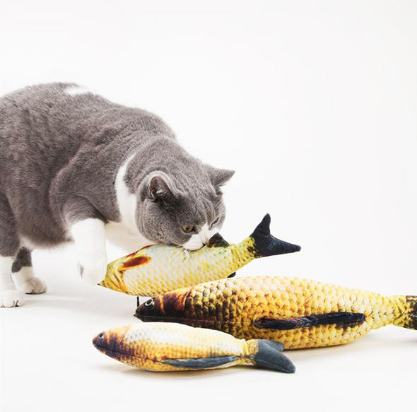 Ultra Realistic Carp Fish Cat Toy