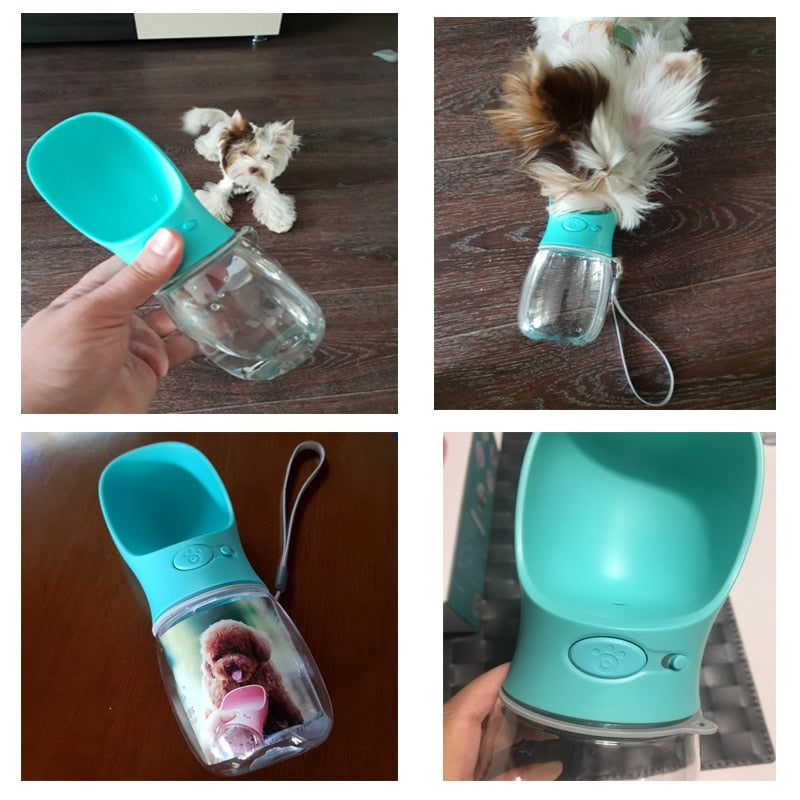 Portable Pet Water Bottle