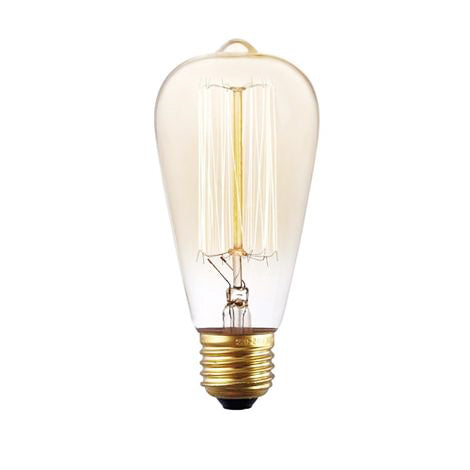 Retro Edison Light Bulb